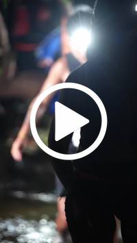 BIB:  <button type="button" onclick="openModal(27588186)" class="btn btn-primary btn-sm float-right" data-toggle="modal" data-target=".modal-high-quality">
                <i class="fa fa-download"></i> Download
                </button>